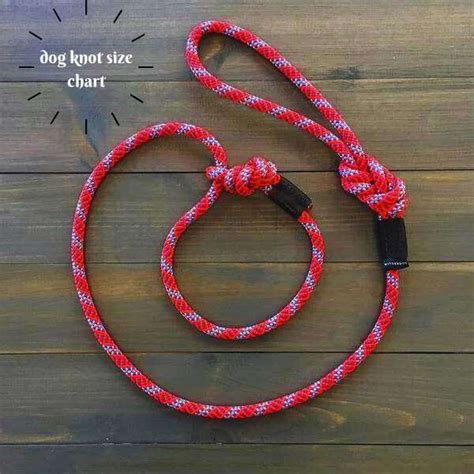 large dog knot|Dog Knot Size Chart: Find Out Now!